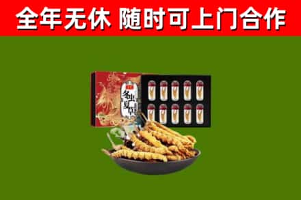通化市回收冬虫夏草价格